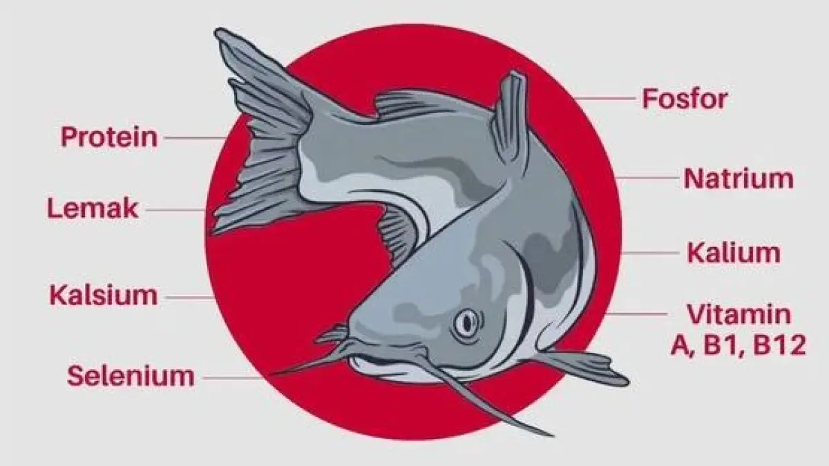 Kandungan gizi ikan lele. (ISTIMEWA)