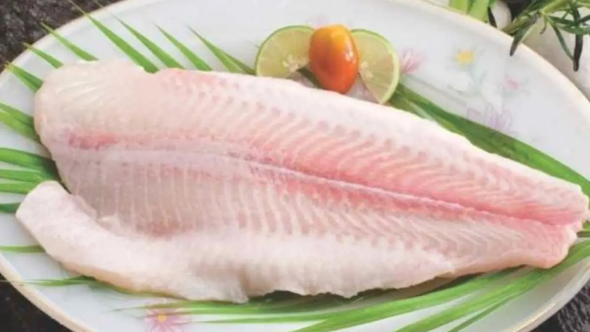 Manfaat ikan dori. 