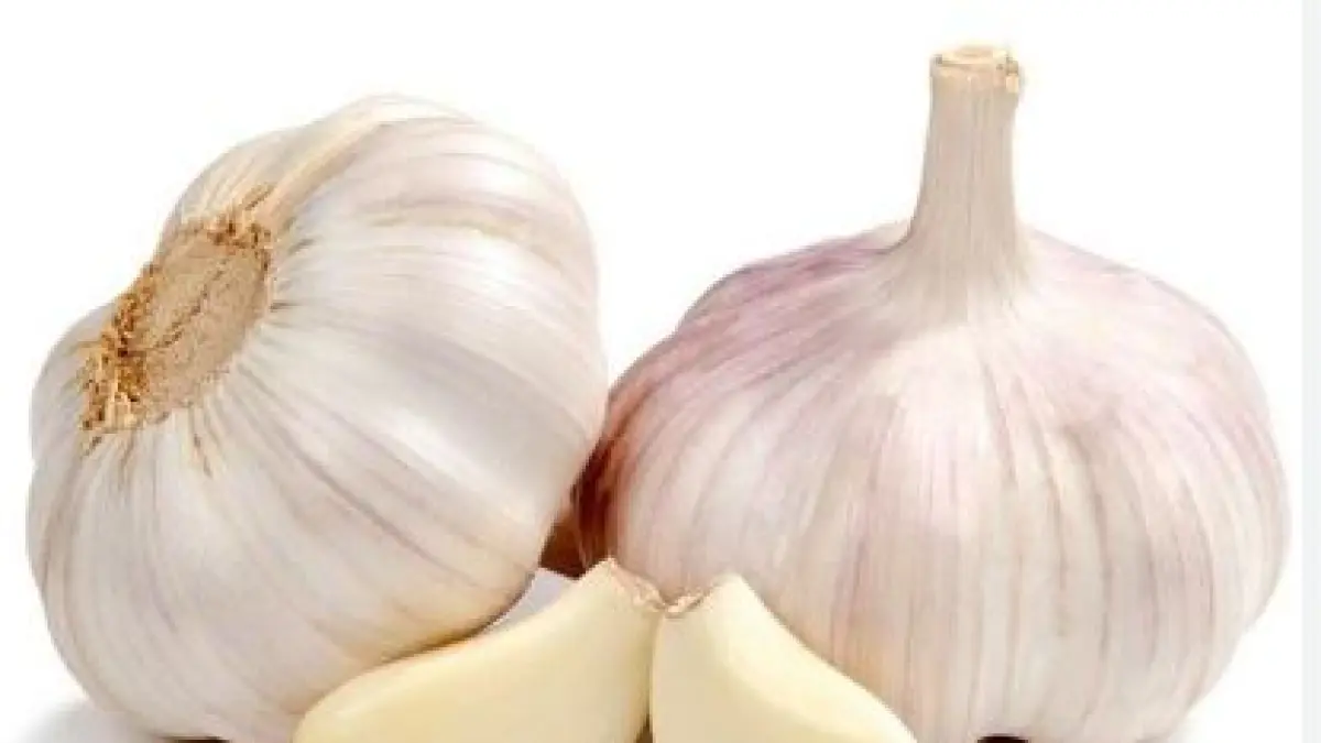 Bawang Putih