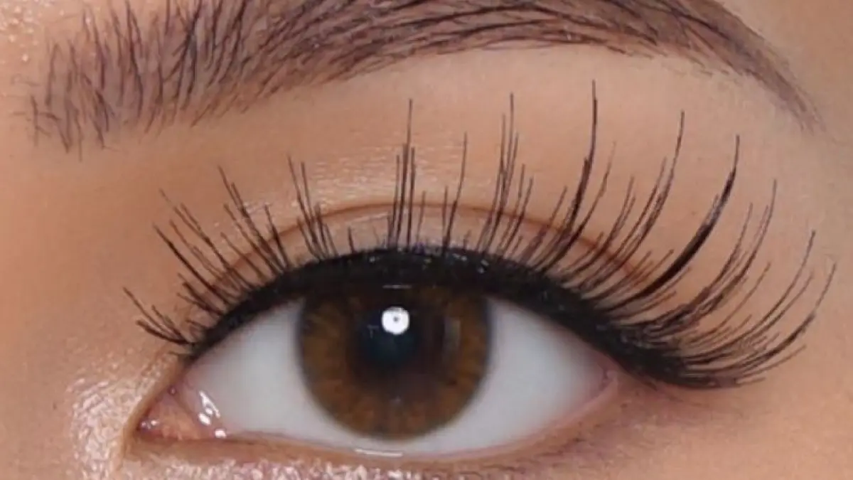 Ilustrasi bulu mata. 