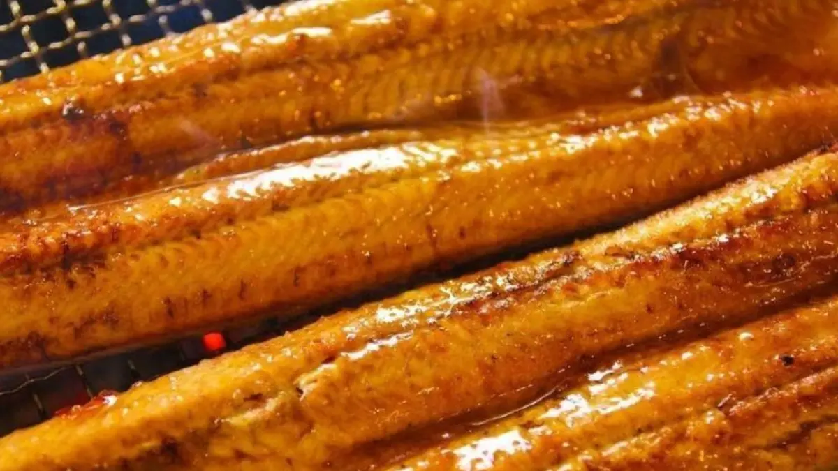 Ilustrasi daging belut panggang.