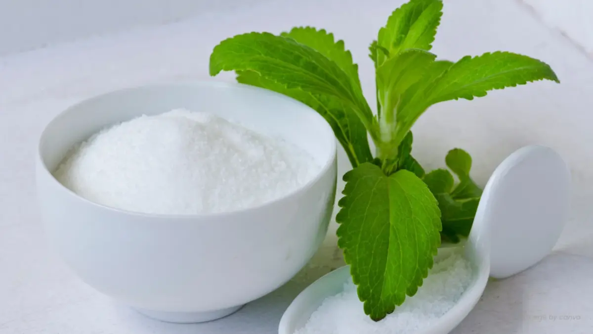 Ilustrasi gula stevia yang diklaim rendah kalori. (RS LAVALETTE)