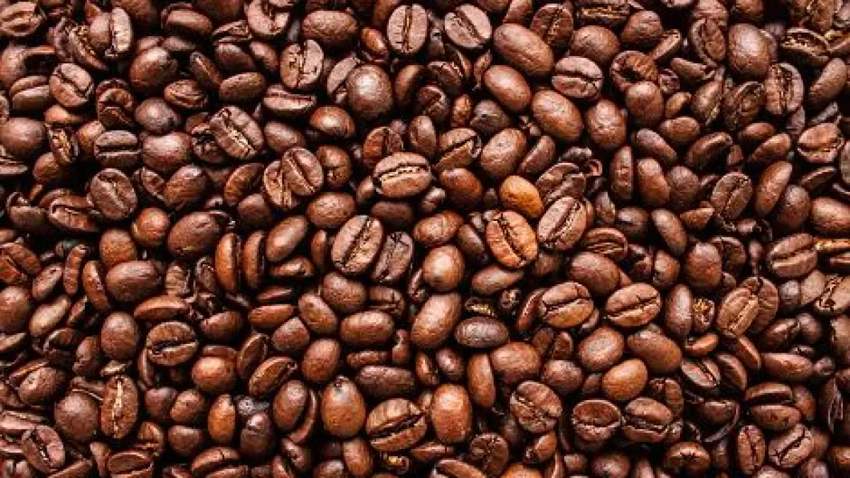 Ilustrasi kopi. 