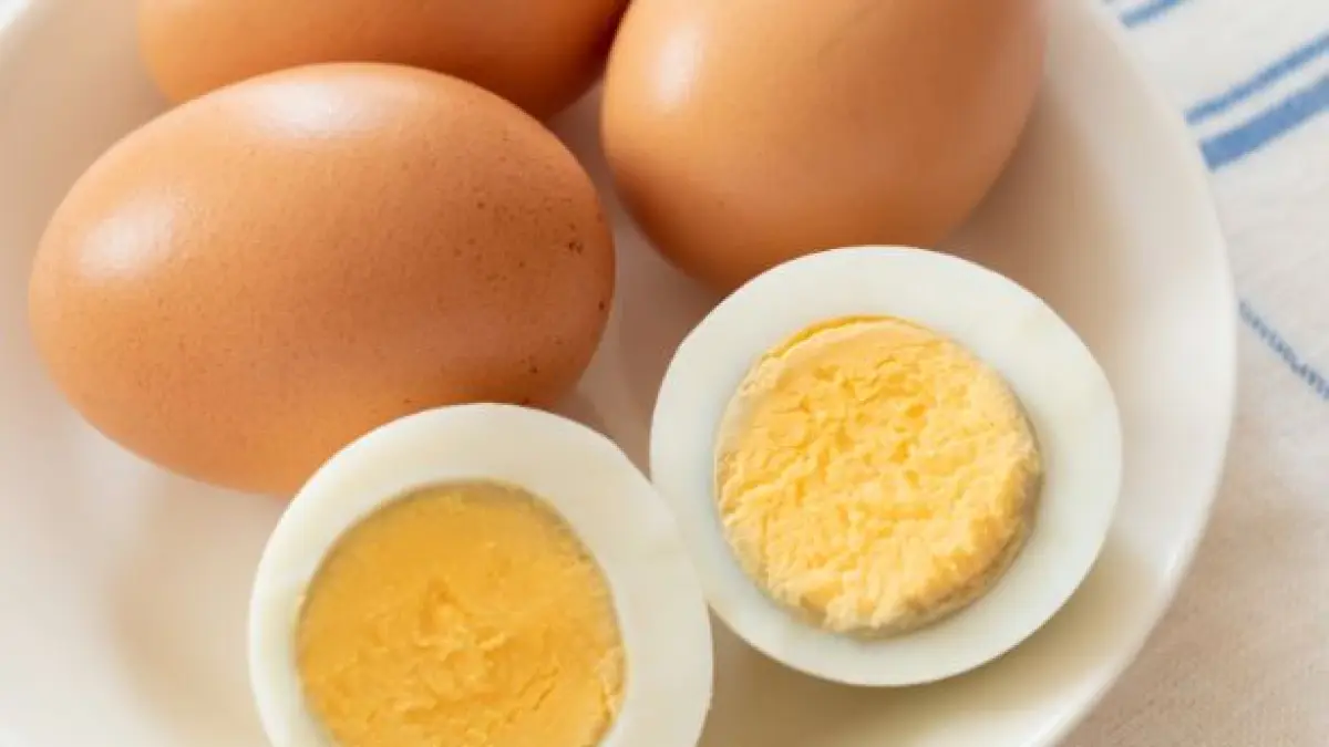 Ilustrasi manfaat telur. 