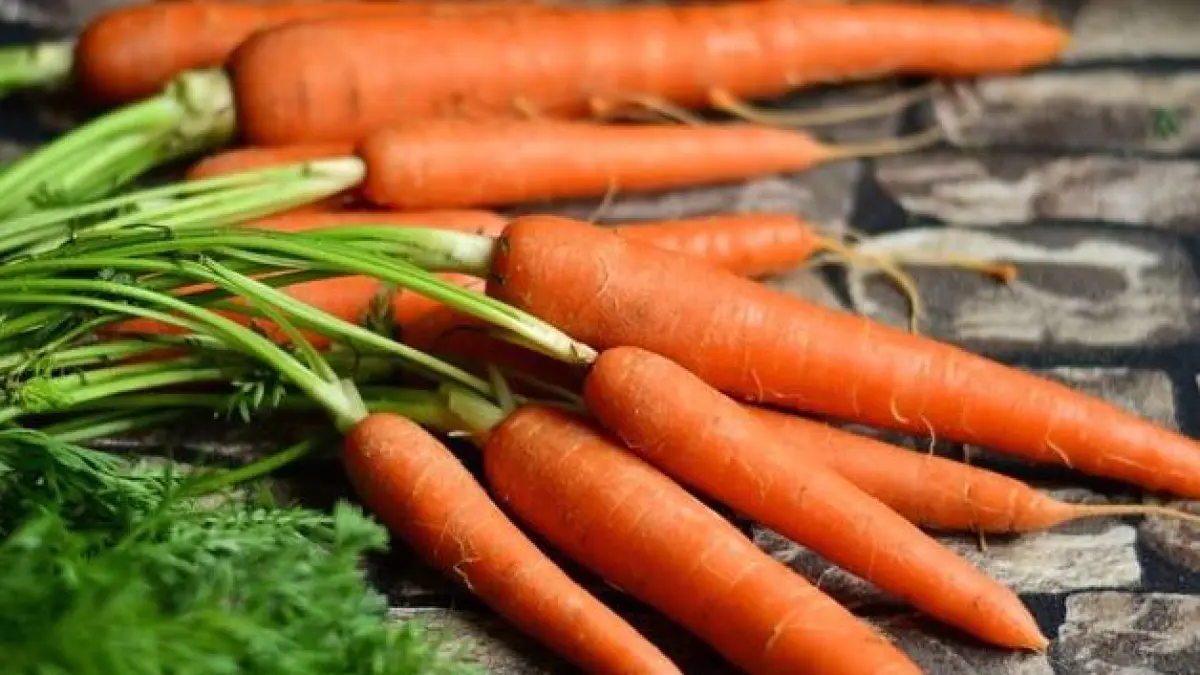 Ilustrasi manfaat wortel. 