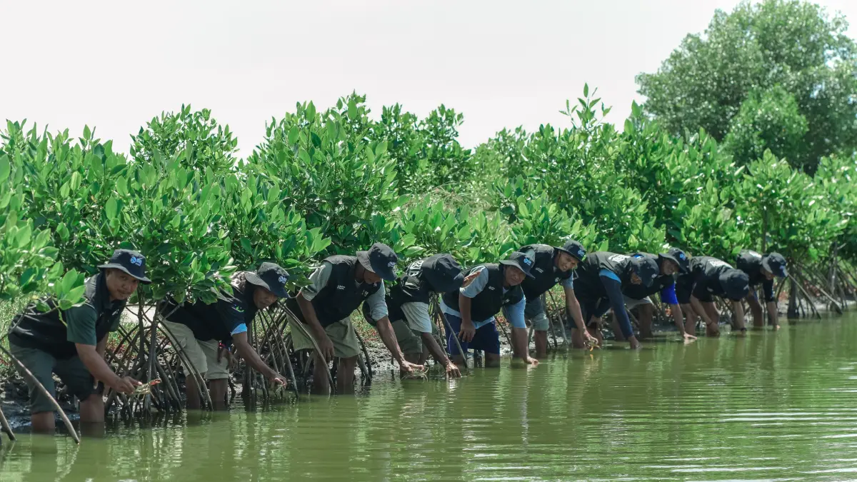 Kegiatan penanaman mangrove oleh BRI di Muara Gembong, Bekasi, dalam rangka Hari Bumi. FOTO: BRI
