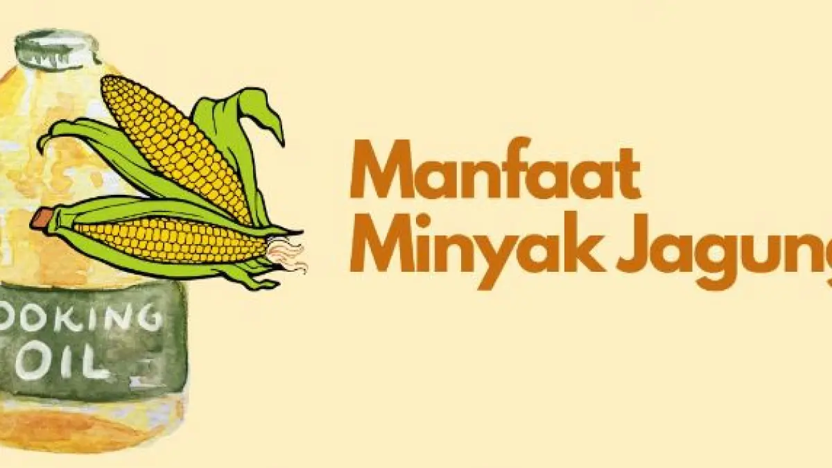Manfaat minyak jagung. 