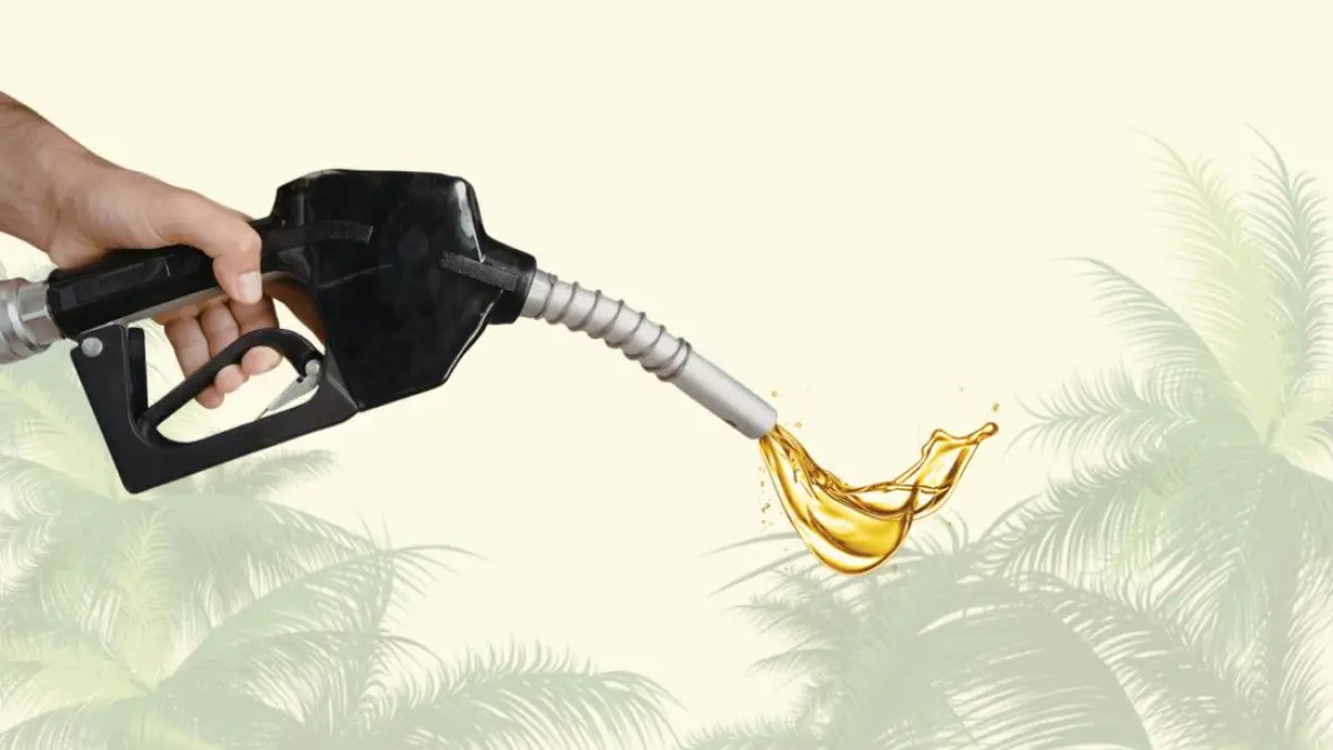 Ilustrasi BBM B50 dari sawit dan solar. (RADAR MADIUN)