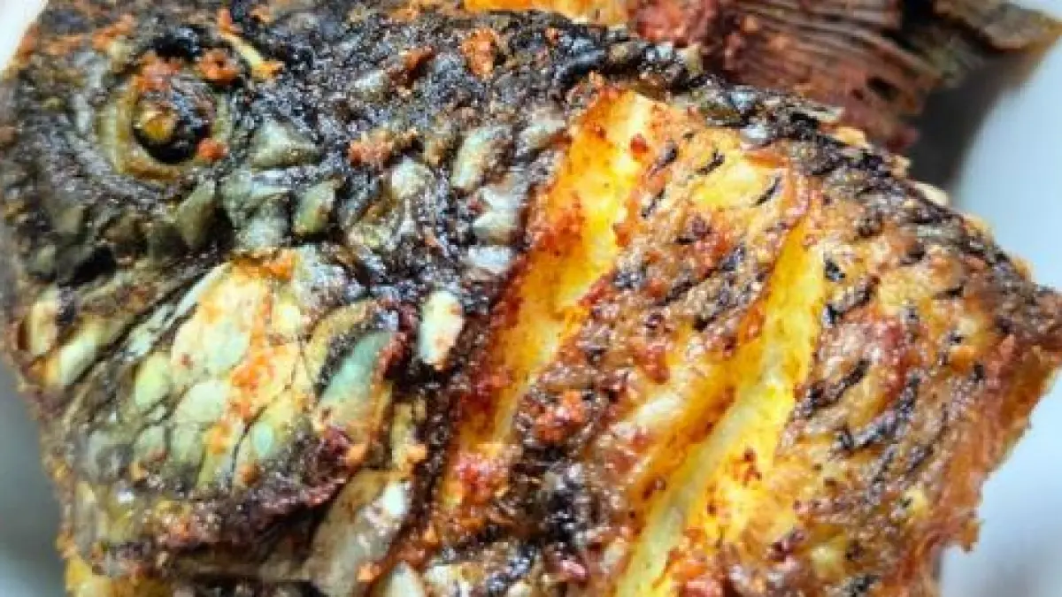  Ikan Nila Anti Lengket