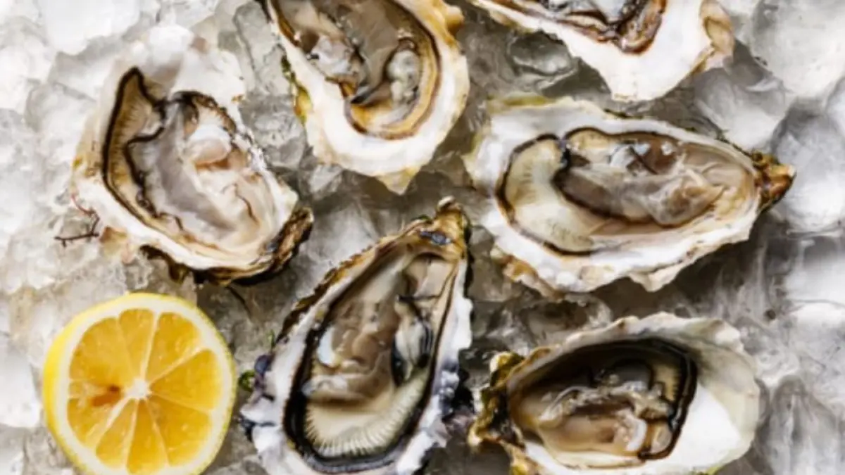 Ilustrasi oyster mentah.