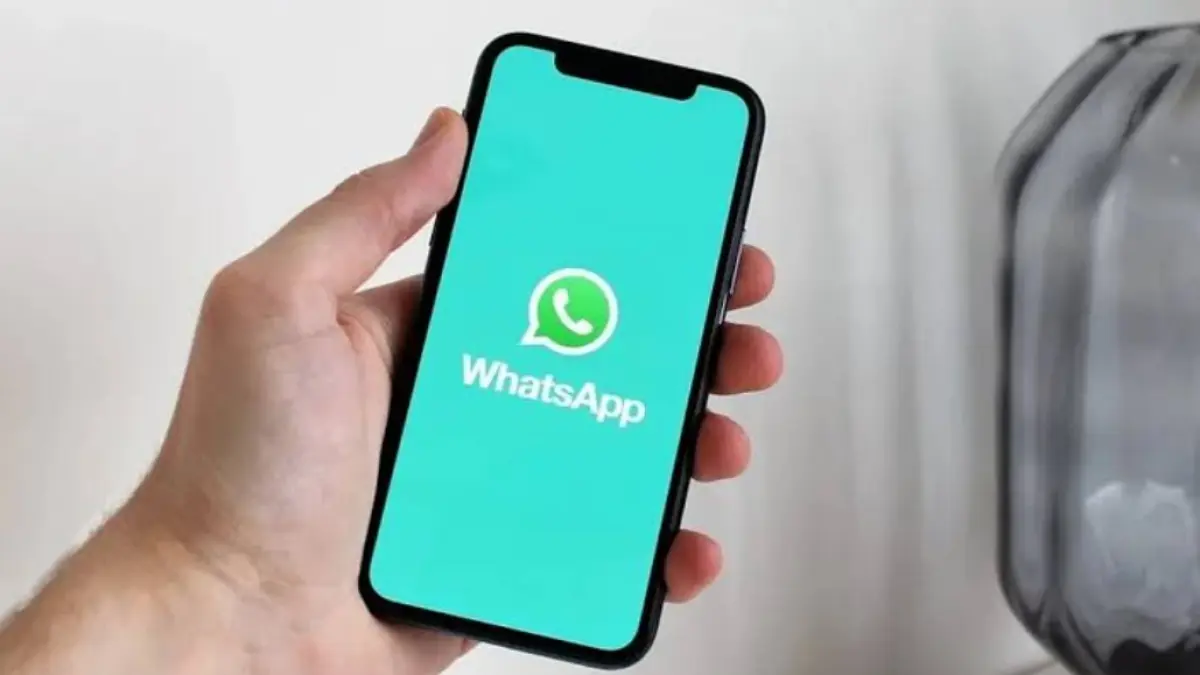 WhatsApp Plus resmi diuji coba, pengguna bisa kustom tampilan. 