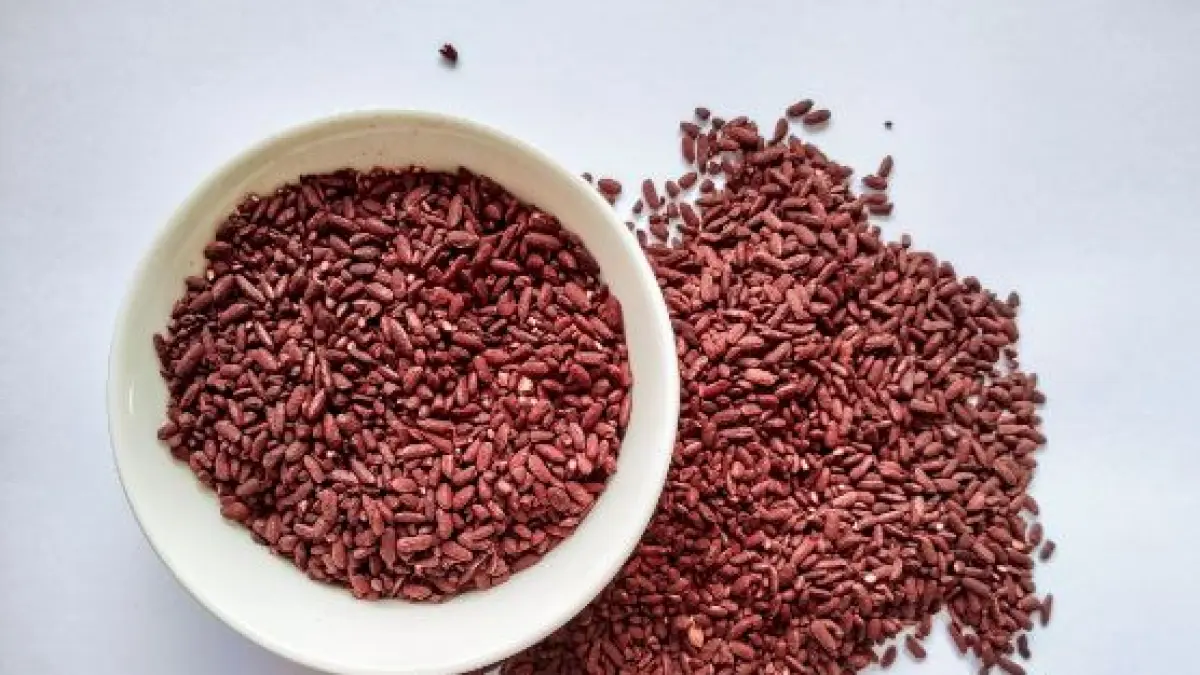 Nasi Merah 