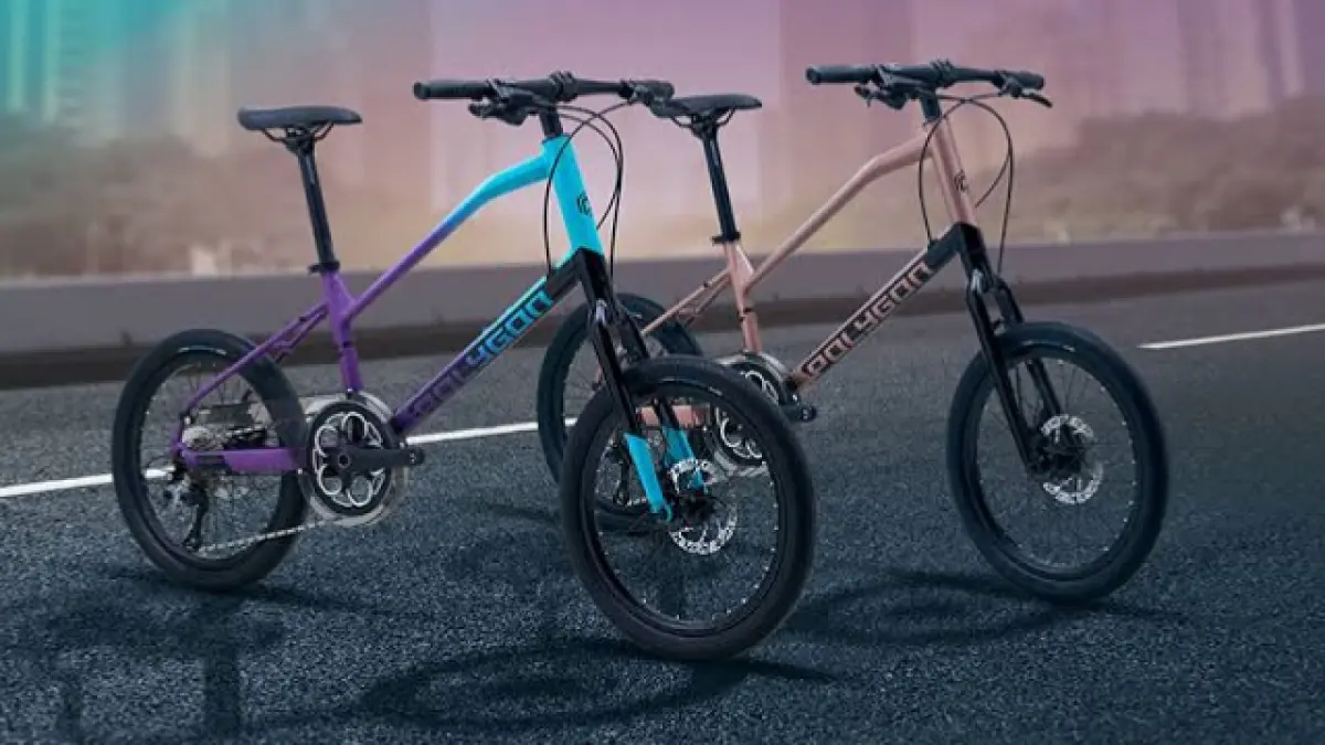 Polygon Zeta hadir dengan konsep minivelo alias sepeda roda kecil non-lipat.