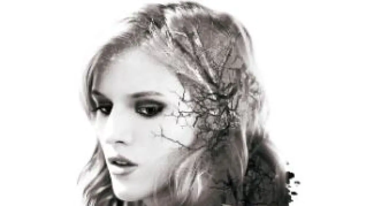  The Amityville Horror 