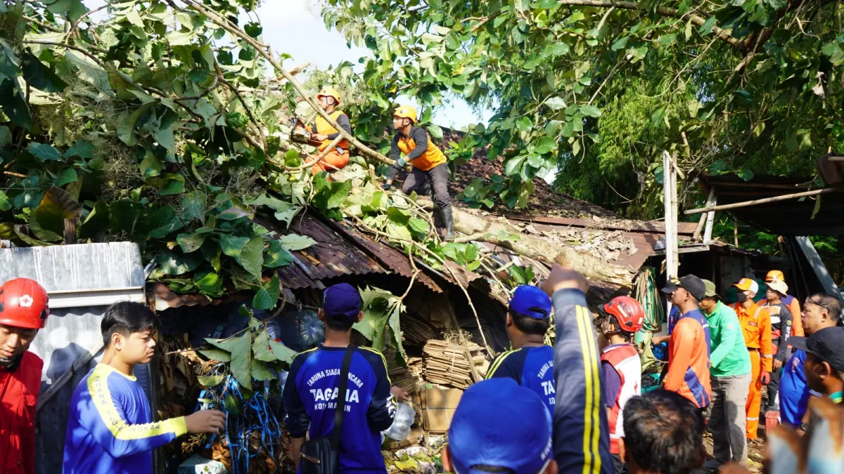 PORAK-PORANDA: Petugas membersihkan pohon tumbang yang merusak atap rumah warga di Jalan Mojopahit, Winongo, Madiun, Jumat (1/5). FOTO: BPBD KOTA MADIUN