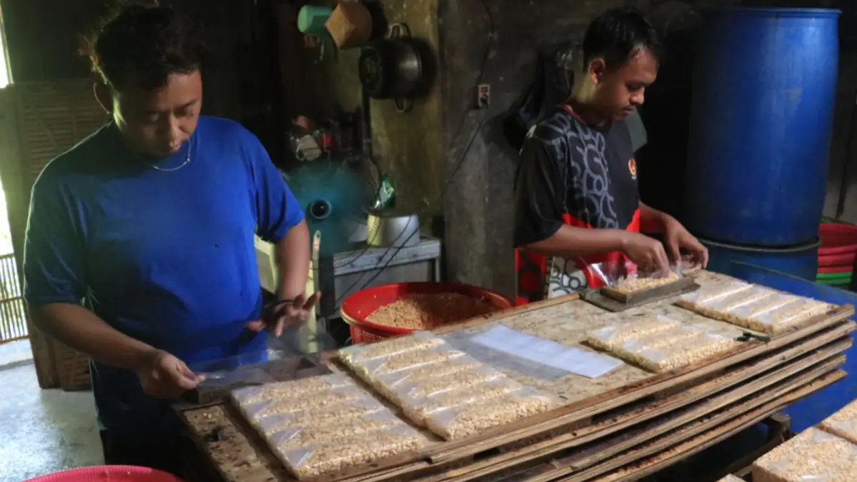Aktivitas jual beli kedelai di pasar tradisional, harga kedelai kini tembus Rp 12.000 per kilogram. SUGENG DWI N/RADAR PONOROGO