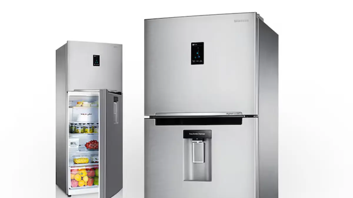 Kulkas Samsung 2 Pintu (Id Feature)