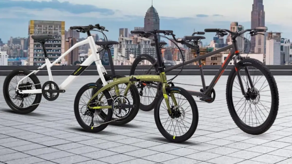 Polygon urban lifestyle menggabungkan gaya dengan fungsi.