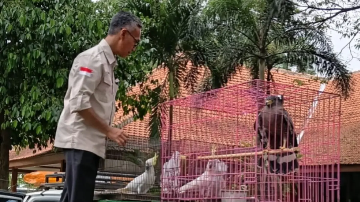 Proses pengembalian satwa dilindungi koleksi Madiun Umbul Square oleh BKSDA Jatim dilakukan bertahap sejak awal Mei 2026. FOTO: MUS MADIUN