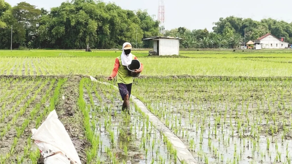 Pemprov Jatim menambah 9 ribu ton pupuk organik bersubsidi untuk Kabupaten Madiun karena serapan petani dinilai optimal. DOK RADAR MADIUN