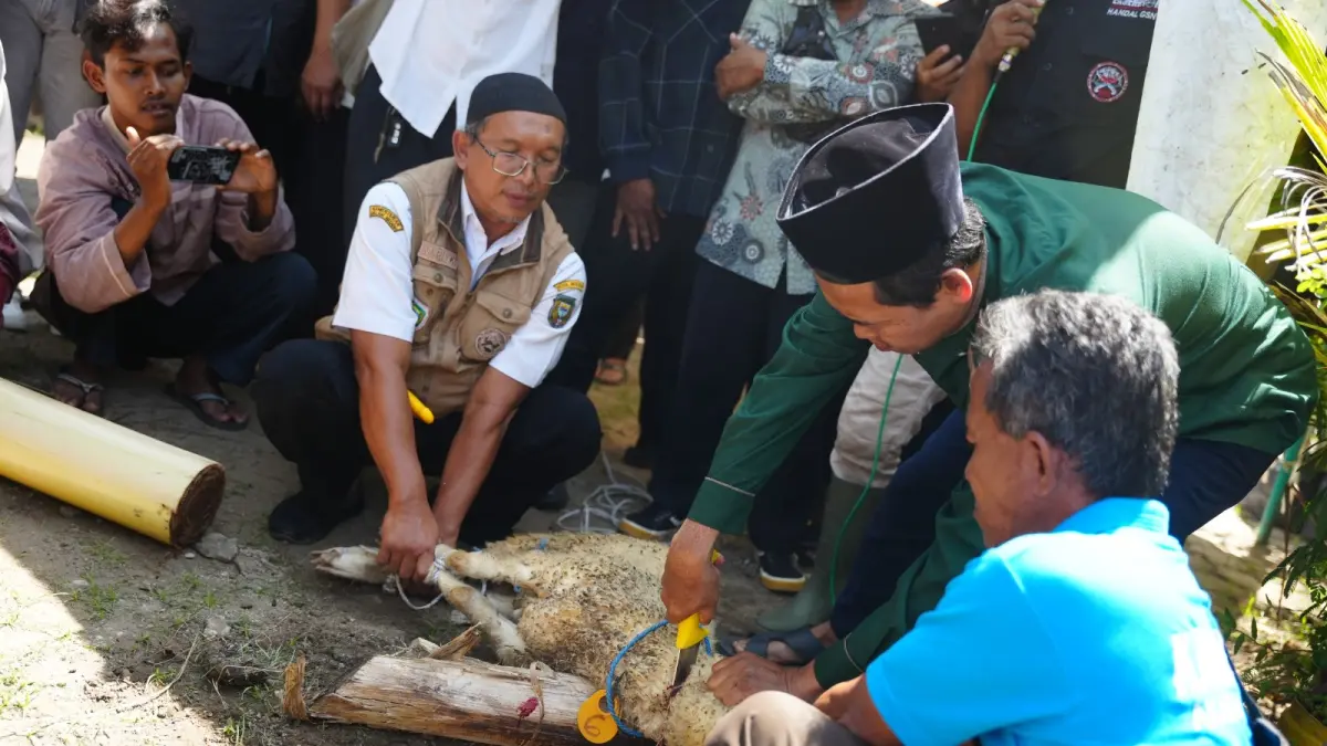 JURU SEMBELIH: Peserta mengikuti pelatihan penyembelihan hewan kurban syar’i yang digelar DKPP Kota Madiun kemarin (13/5). DISKOMINFO UNTUK JAWA POS RADAR MADIUN