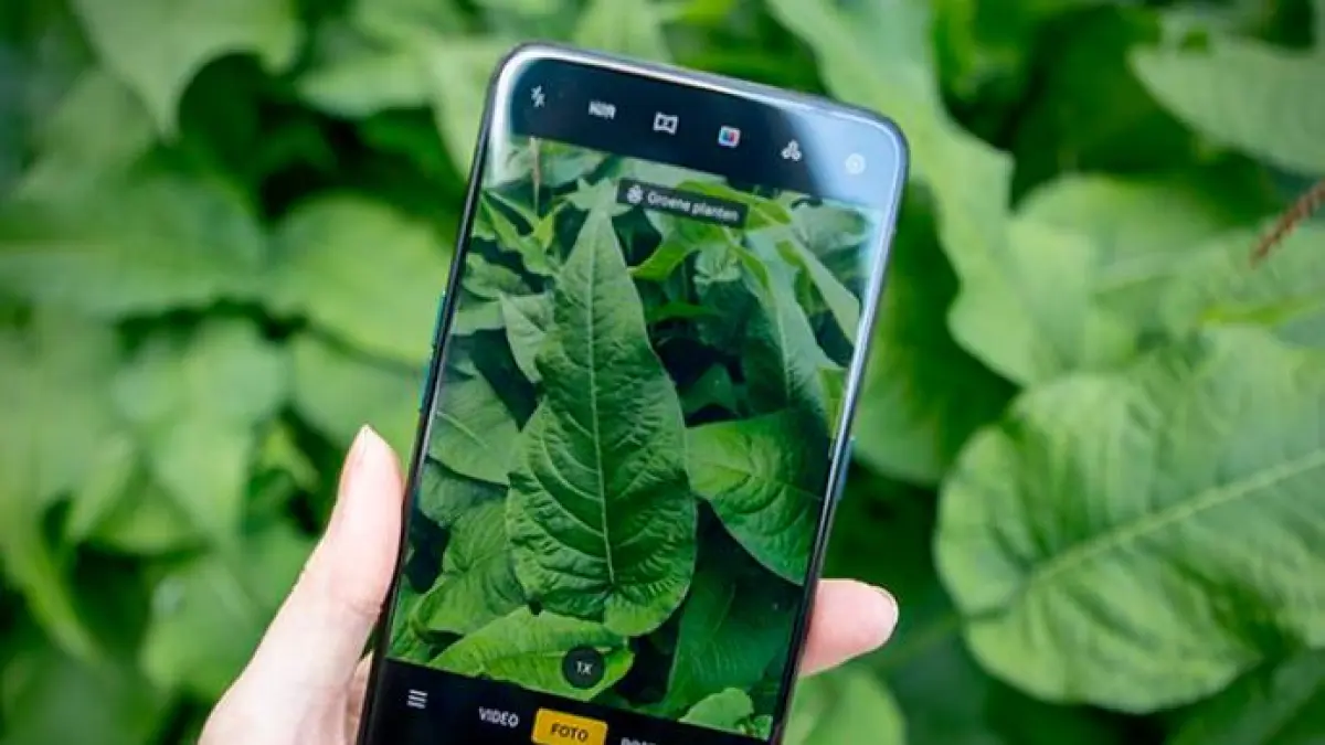 Ilustrasi HP kamera zoom dana telefoto terbaik. (PINTEREST)