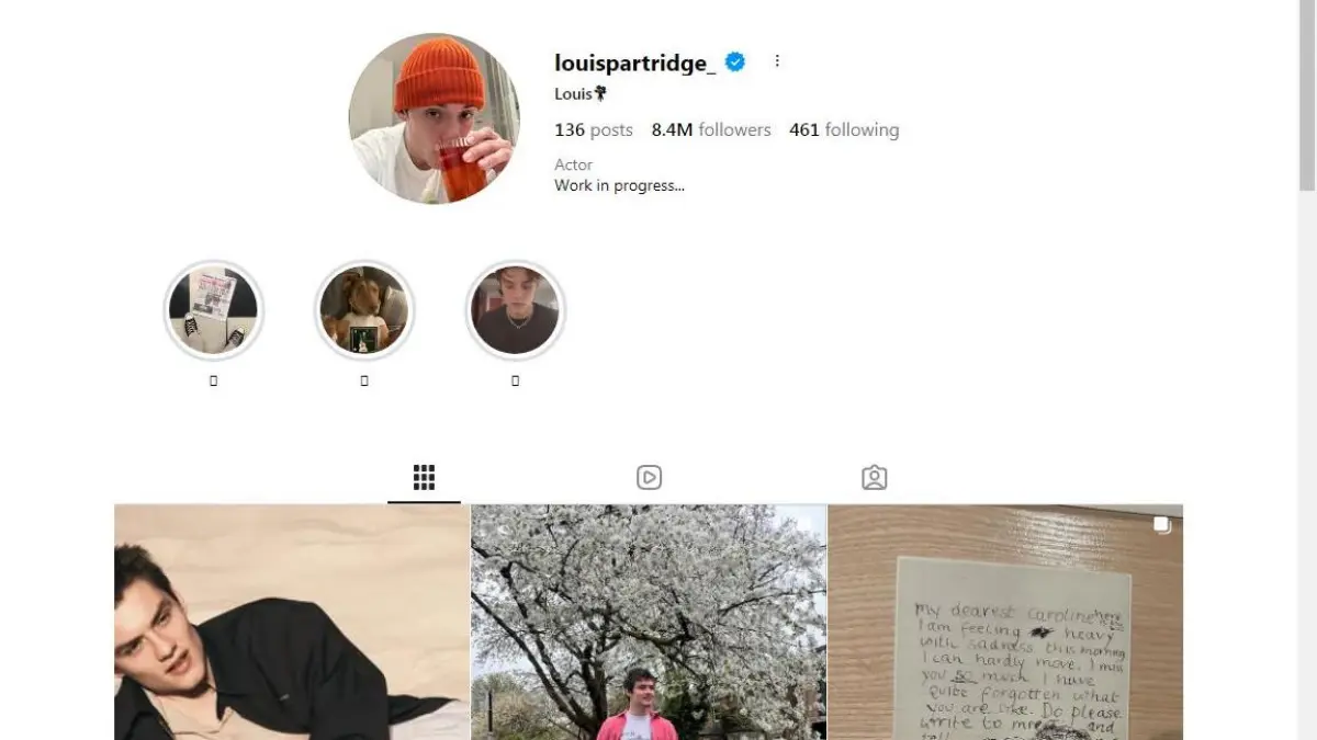 ilustrasi laman feed instagram ( louis patridge)
