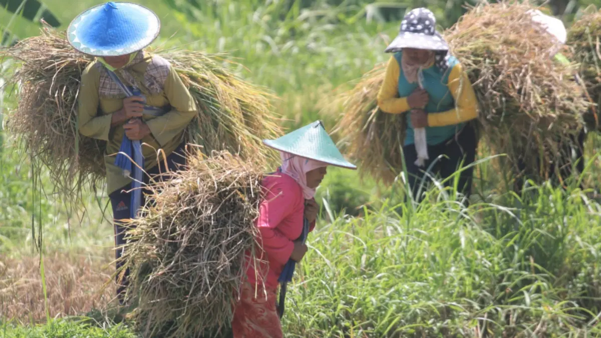 KETAHANAN PANGAN: Bulog memastikan stok beras dan kebutuhan pangan di wilayah Ponorogo dan Magetan tetap aman hingga akhir 2026. AJI PUTRA/JAWA POS RADAR MAGETAN