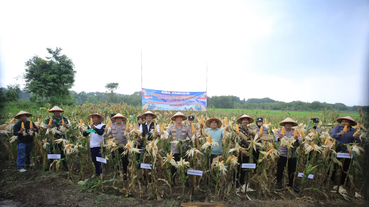 PANEN RAYA: Kelompok tani binaan Polres Madiun mencatat produksi jagung ribuan ton sebagai dukungan terhadap program swasembada pangan nasional. FOTO: DIAN RAHAYU/JAWA POS RADAR MADIUN