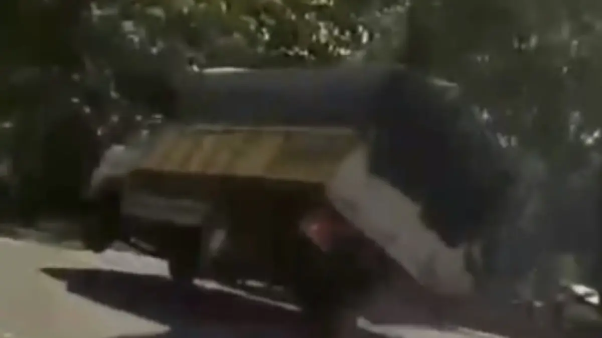 VIRAL DAN BERBAHAYA: Sopir truk pengangkut barang milik Indomaret dipecat setelah aksi zig-zag di jalur Pacitan-Solo viral dan dinilai membahayakan pengguna jalan lain.