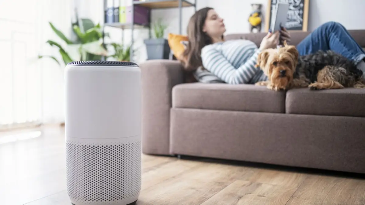 Ilustrasi rekomendasi air purifier.
