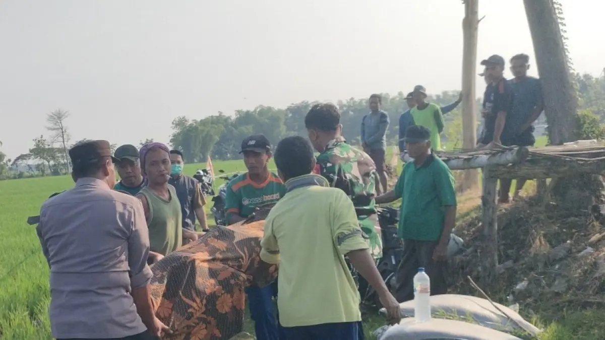 Petugas bersama warga mengevakuasi jasad Kayat, lansia asal Desa Gunungan, Kartoharjo, yang tewas akibat tersengat perangkap tikus beraliran listrik di area persawahan. AJI PUTRA/JAWA POS RADAR MAGETAN