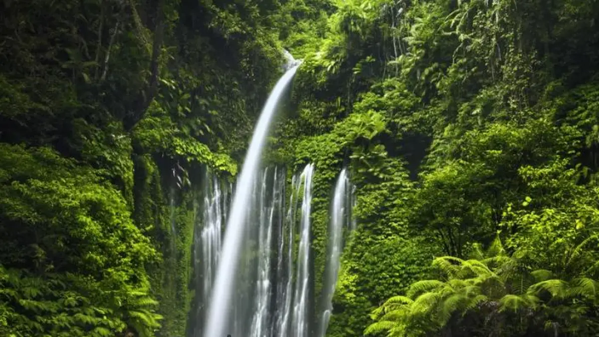 Wisata Alam Sejuk di Kabupaten Madiun. (TRAVELOKA)