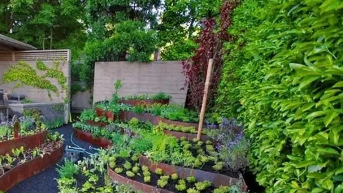 Barang Bekas Bisa Disulap Jadi Kebun Sayur Cantik