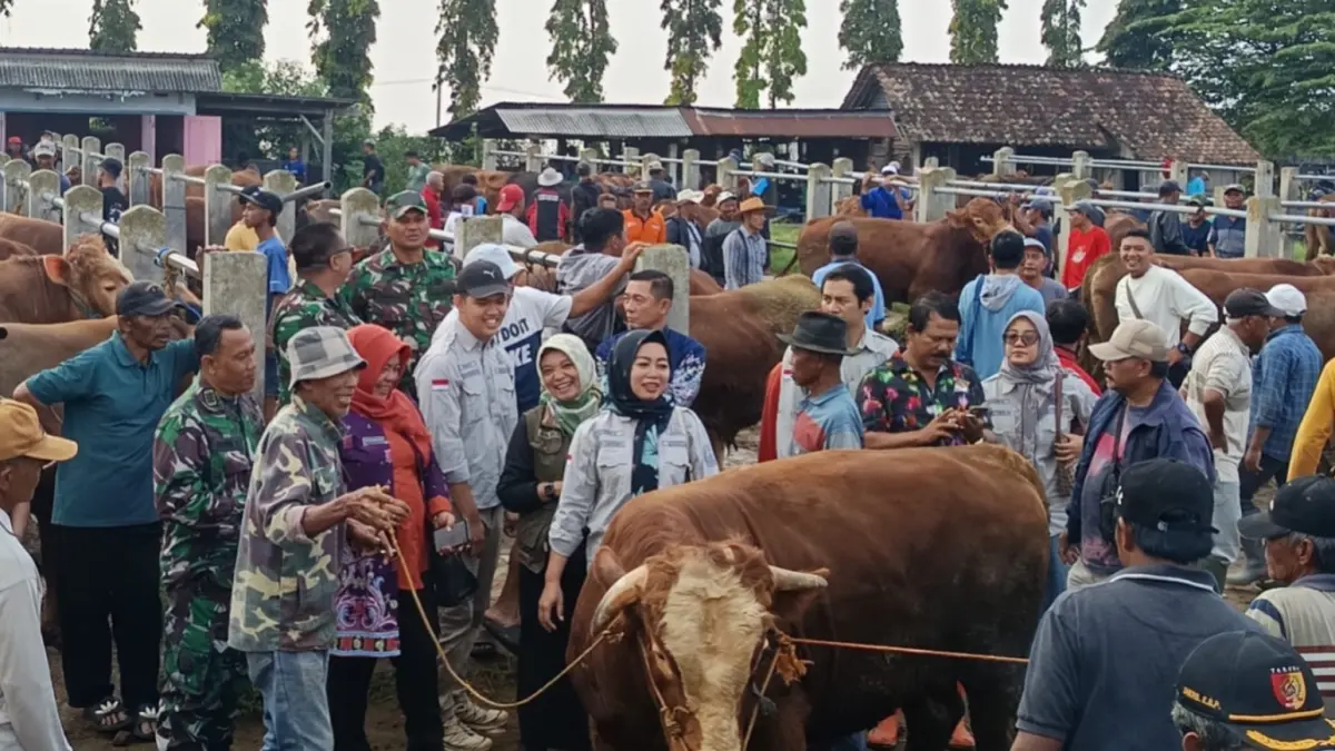 Komisi B DPRD Magetan bersama Disnakkan dan Disperindag meninjau kondisi hewan ternak di Pasar Hewan Plaosan menjelang Iduladha. AJI PUTRA/JAWA POS RADAR MAGETAN
