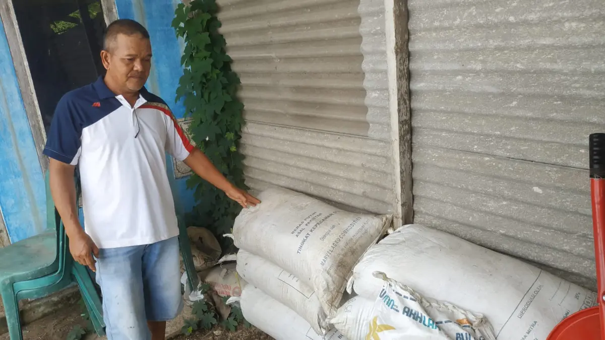 PUPUK KANDANG: Petugas BUMDes menunjukkan sejumlah hasil olahan kotoran domba yang telah dikemas dalam karung dan siap dipasarkan sebagai pupuk organik.