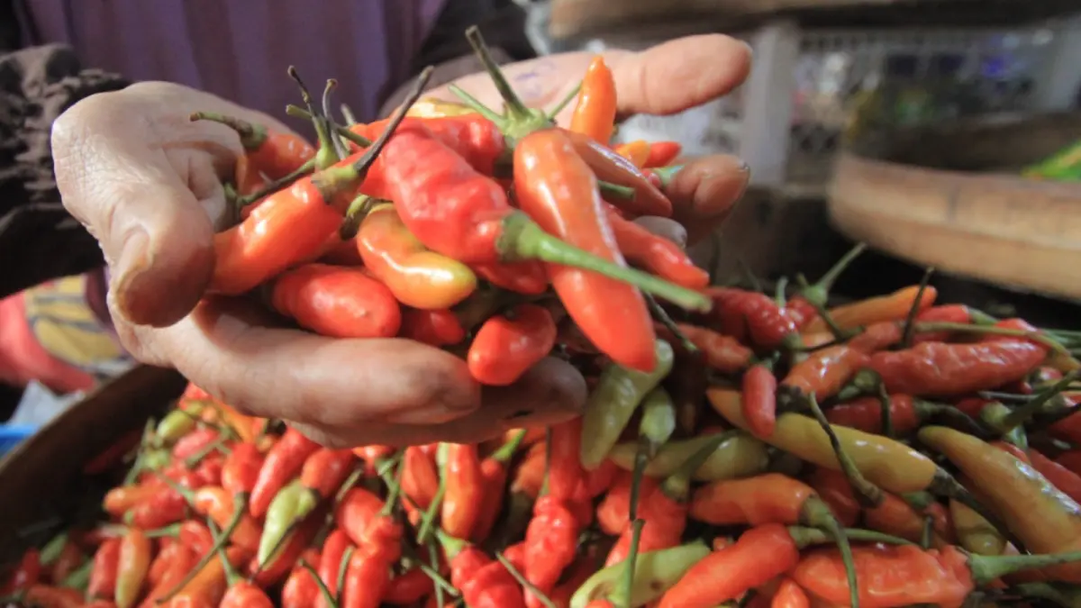 Pedagang cabai di Pasar Sayur Magetan melayani pembeli di tengah kenaikan harga cabai rawit menjelang Idul Adha. AJI PUTRA/JAWA POS RADAR MADIUN