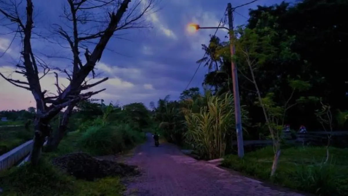 Kabar pocong jadi-jadian viral di Kulon Progo hingga meresahkan warga. (ISTIMEWA) 