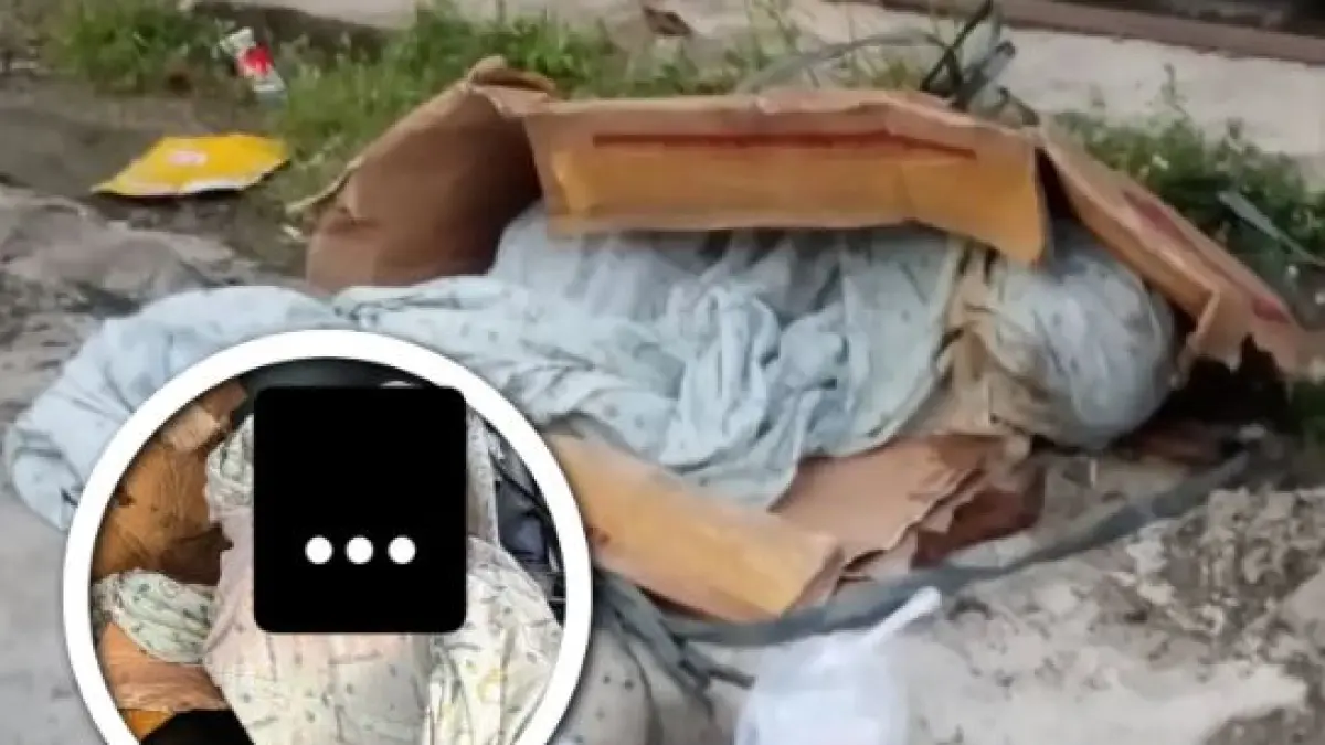 VIRAL: Temuan mayat dalam karus di pinggir jalan raya Lampung. (ISTIMEWA)