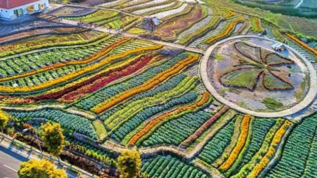 Kebun Bunga Refugia 