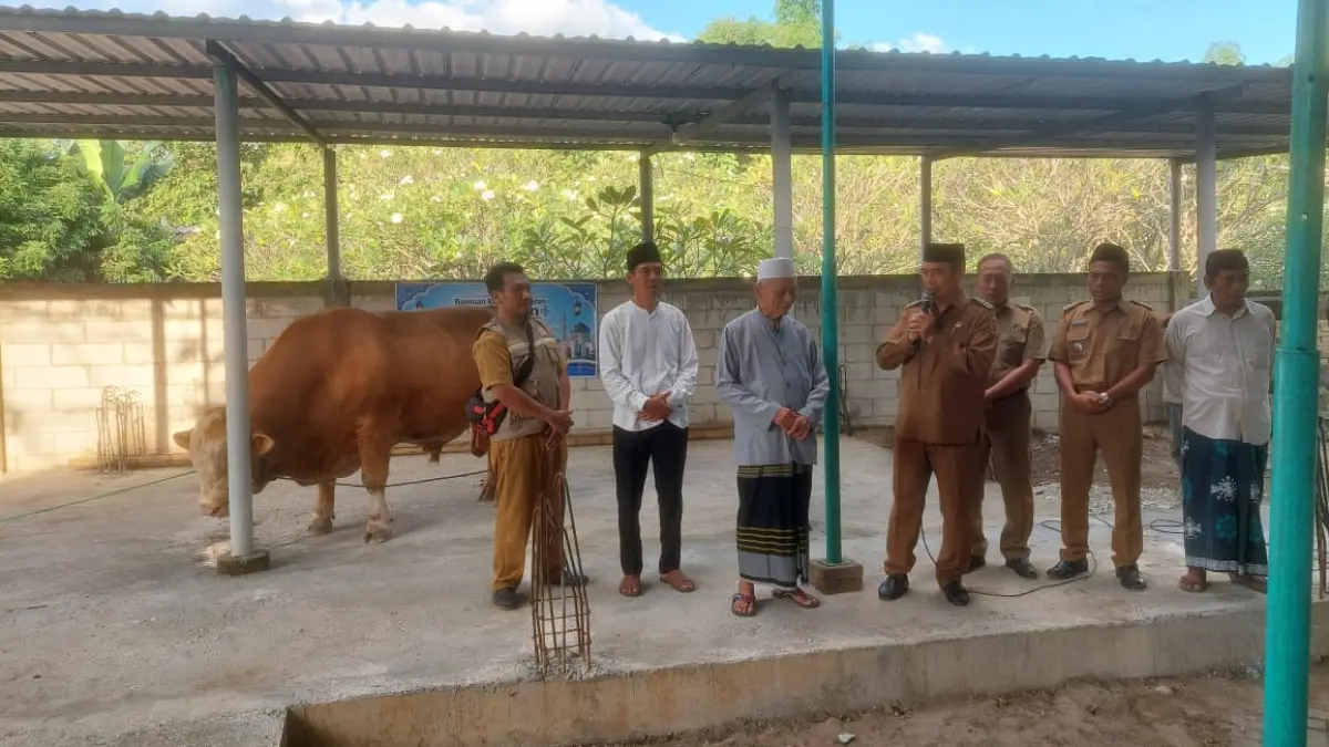 Pemkab Madiun menyiapkan hewan kurban Iduladha 1447 Hijriah untuk didistribusikan kepada masyarakat dan lembaga sosial. LODITYA FERNANDES/JAWA POS RADAR MADIUN