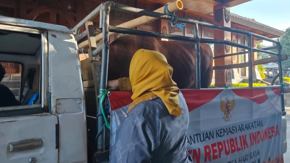 Plt Bupati Ponorogo Lisdyarita menyerahkan sapi bantuan Presiden Prabowo Subianto kepada takmir Masjid Jami’ Tegalsari. SUGENG DWI N/JAWA POS RADAR PONOROGO