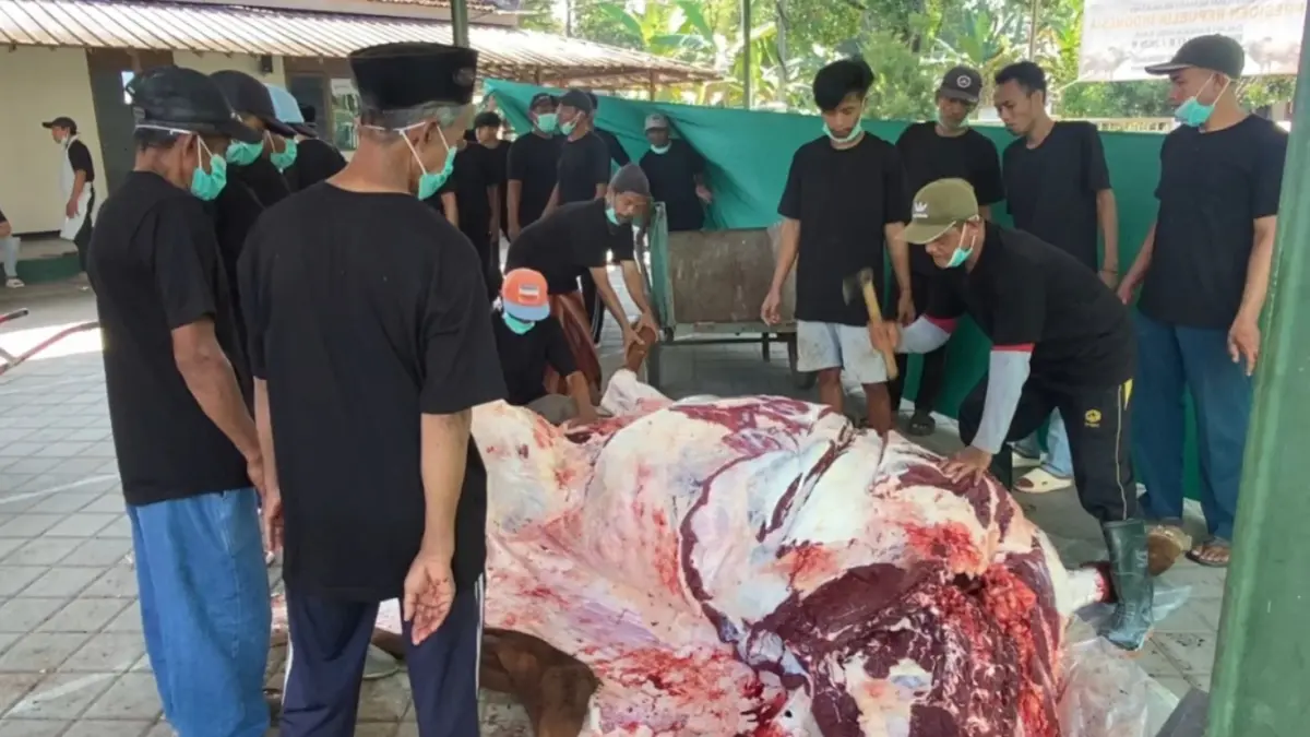 Petugas kesehatan hewan melakukan pemeriksaan organ dalam hewan kurban guna memastikan daging aman dikonsumsi masyarakat. SUGENG DWI N/JAWA POS RADAR PONOROGO