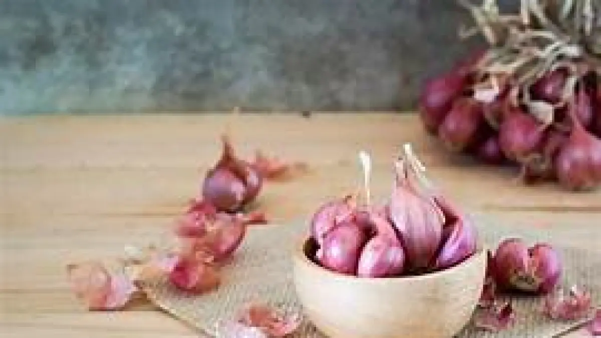 ilustrasi bawang merah (https://kanetarolove.blogspot.com/)
