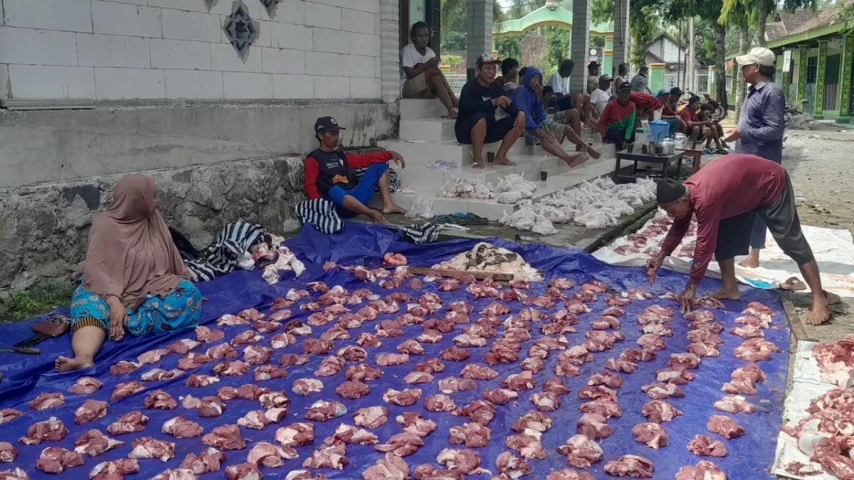 Potongan daging kurban dibagikan kepada warga di Ngawi. Kenaikan harga sapi pada Idul Adha 2026 diperkirakan mengubah pilihan masyarakat terhadap hewan kurban. ASEP SYAEFUL/JAWA POS RADAR NGAWI