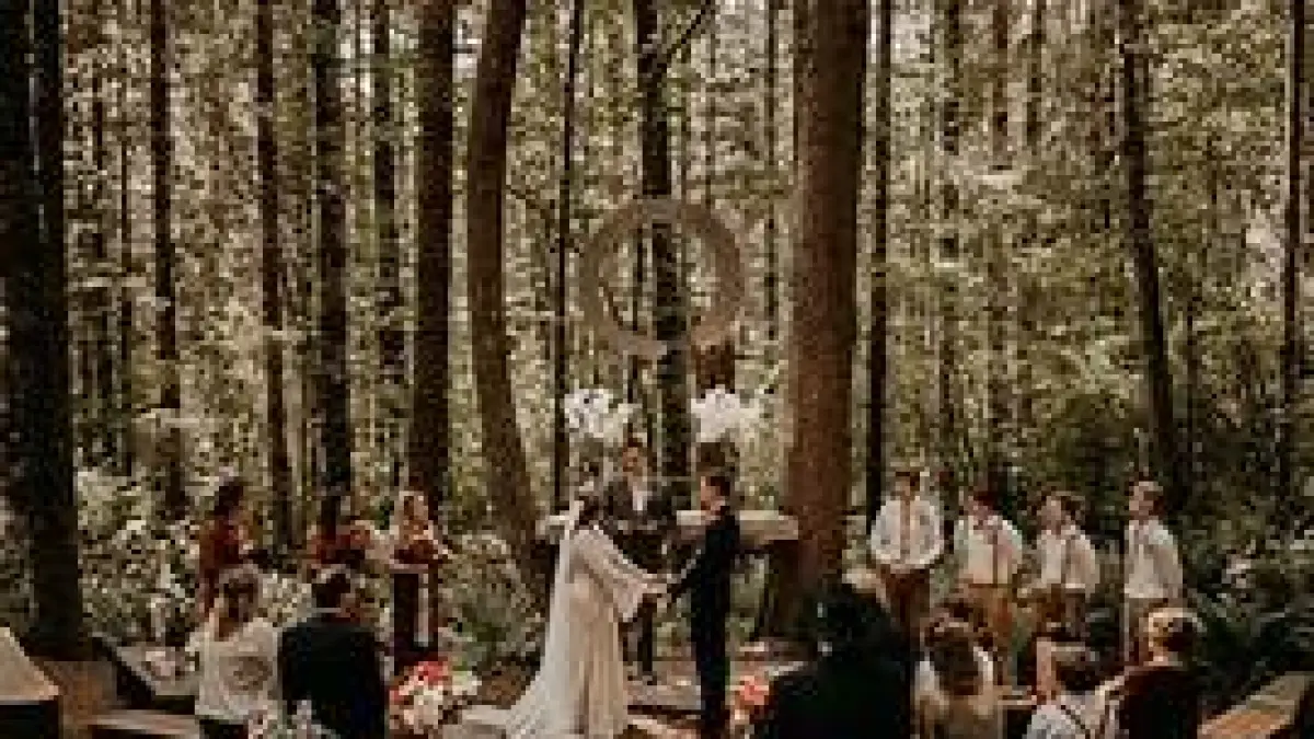 ilustrasi wedding
