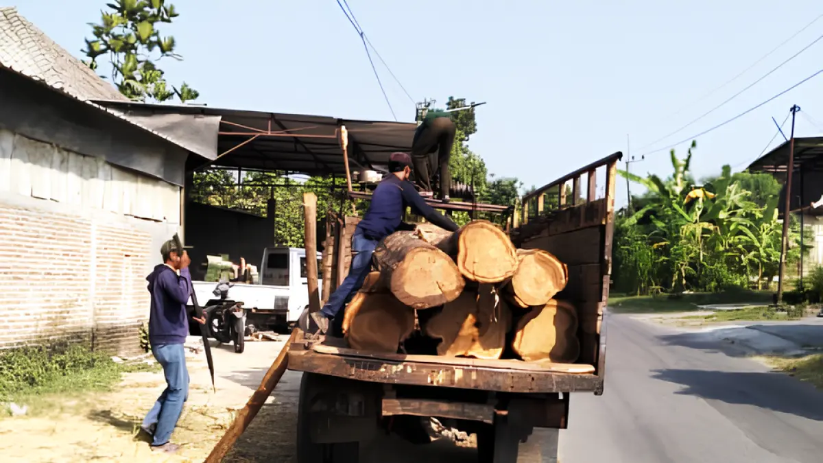 ILLEGAL LOGGING: KPH Saradan mengamankan tujuh gelondongan kayu jati diduga hasil pembalakan liar di kawasan hutan petak 98B RPH Sebayi, BKPH Jatiketok Utara pada Sabtu (6/6/2026). (PERHUTANI DIVISI REGIONAL JAWA TIMUR)&nbsp;