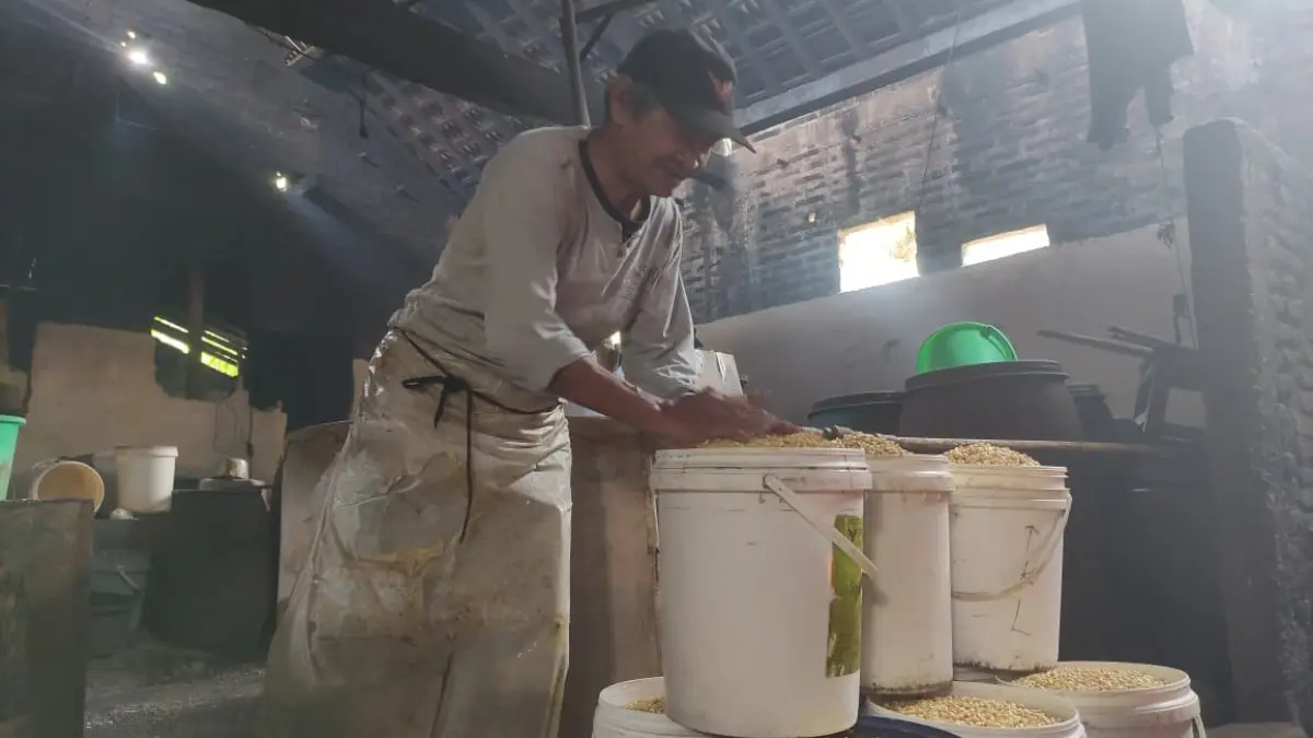 TERTEKAN BAHAN BAKU: Musiran, perajin tahu di Desa Jatigunung, Tulakan, tetap berproduksi di tengah lonjakan harga kedelai impor. NUR CAHYONO/JAWA POS RADAR PACITAN