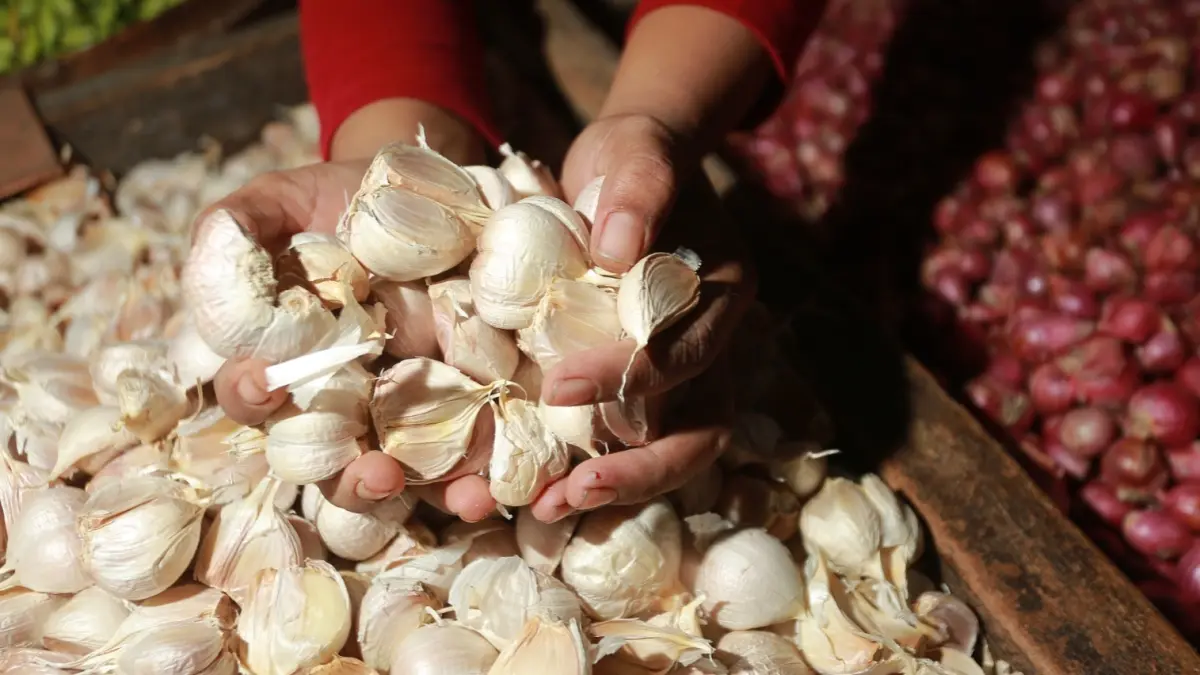 HARGA NAIK: Pedagang di Pasar Legi Ponorogo melayani pembeli di tengah lonjakan harga bawang putih dan bawang merah. BAGAS BIMANTARA/RADAR MADIUN