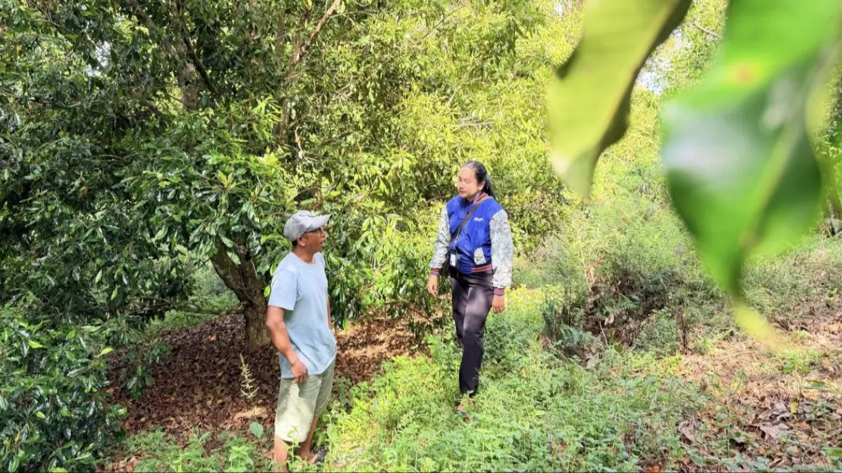 Penyaluran Kredit Usaha Rakyat (KUR) BRI hingga Mei 2026 mencapai Rp84,36 triliun. FOTO: BRI